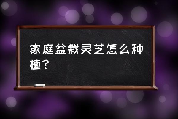 家庭盆栽灵芝怎么种植 家庭盆栽灵芝怎么种植？