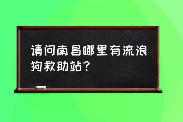 南昌市流浪狗求助热线电话 请问南昌哪里有流浪狗救助站？