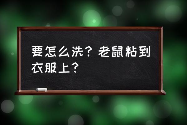 粘老鼠胶粘到地上怎么办 要怎么洗？老鼠粘到衣服上？