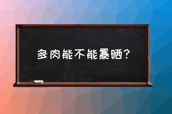 植物大战僵尸怎么修改阳光数值 多肉能不能暴晒？