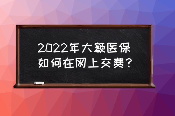 大额医疗保险个人可以交吗 2022年大额医保如何在网上交费？