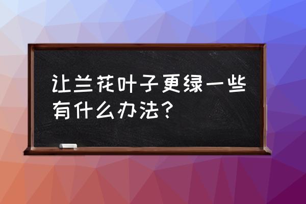 花卉叶片脏了怎么清洗 让兰花叶子更绿一些有什么办法？