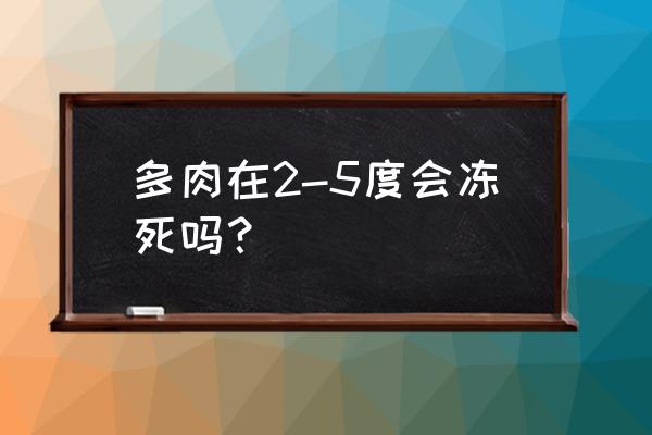 多肉严重冻伤叶子变软 多肉在2-5度会冻死吗？