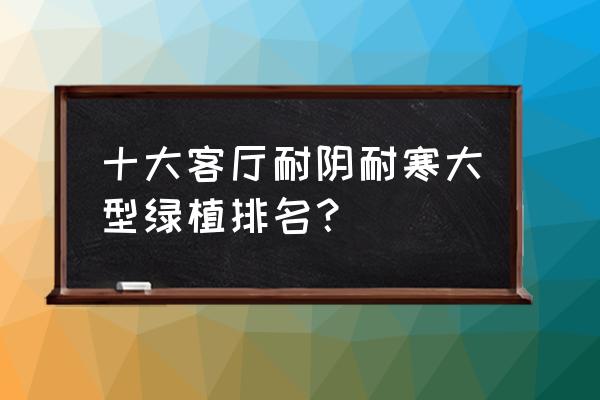 适合室内养的耐寒植物 十大客厅耐阴耐寒大型绿植排名？