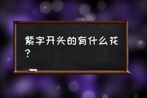 紫荆花四叶草折叠方法 紫字开头的有什么花？