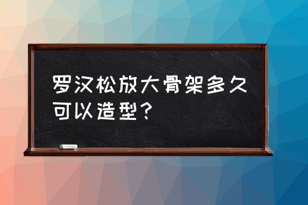 罗汉松几时修剪最好 罗汉松放大骨架多久可以造型？