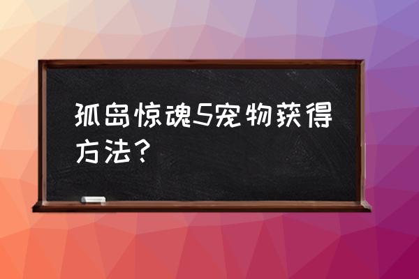 孤岛惊魂5全剧情流程主线任务攻略 孤岛惊魂5宠物获得方法？