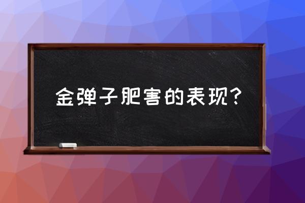 金弹子浇水过多补救方式 金弹子肥害的表现？