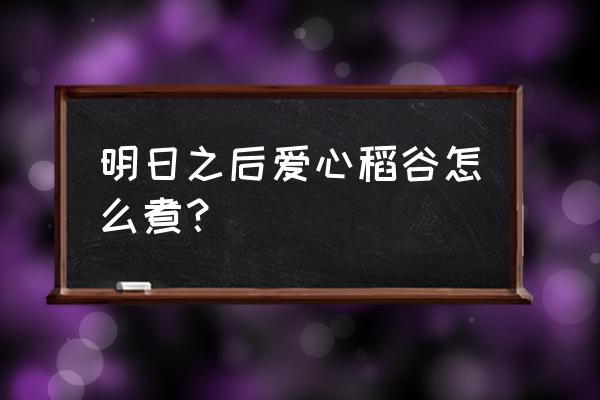 明日之后属性最好的食谱 明日之后爱心稻谷怎么煮？