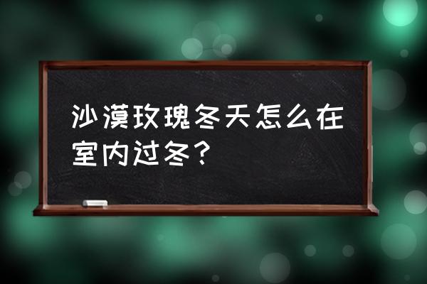 室内适合冬天养的什么花 沙漠玫瑰冬天怎么在室内过冬？