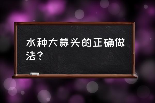 怎么在水里种蒜 水种大蒜头的正确做法？