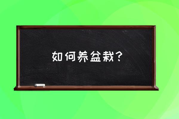 怎么养好盆栽植物 如何养盆栽？