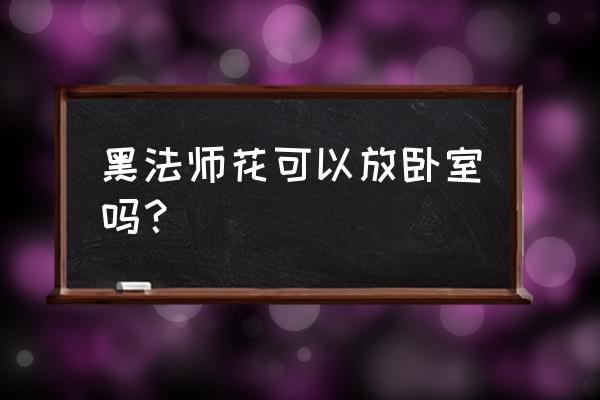 什么花不适合在卧室里养 黑法师花可以放卧室吗？