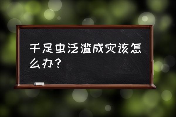 怎么防蛇鼠最有效 千足虫泛滥成灾该怎么办？