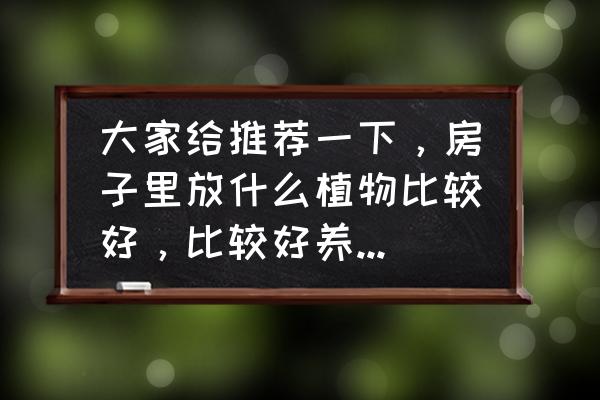 卧室放什么植物有助于睡眠 大家给推荐一下，房子里放什么植物比较好，比较好养活的那种？