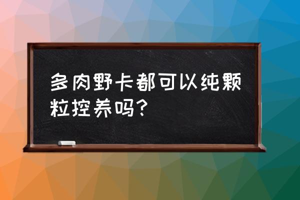 控养多肉用什么颗粒 多肉野卡都可以纯颗粒控养吗？