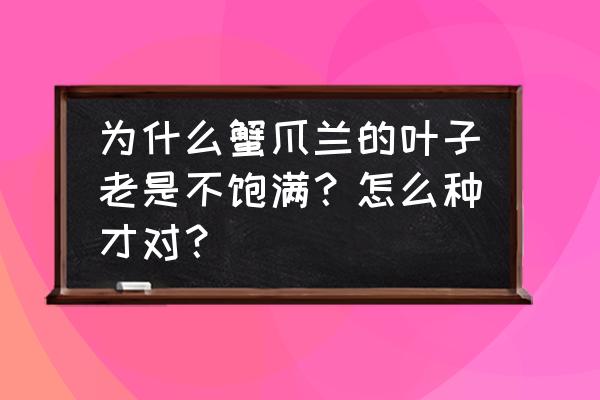 蟹爪兰叶子蔫了如何救 为什么蟹爪兰的叶子老是不饱满？怎么种才对？