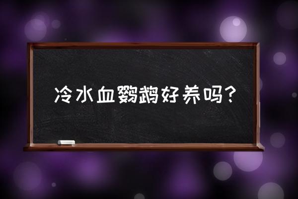 冷水花怎么养才不会虫子 冷水血鹦鹉好养吗？