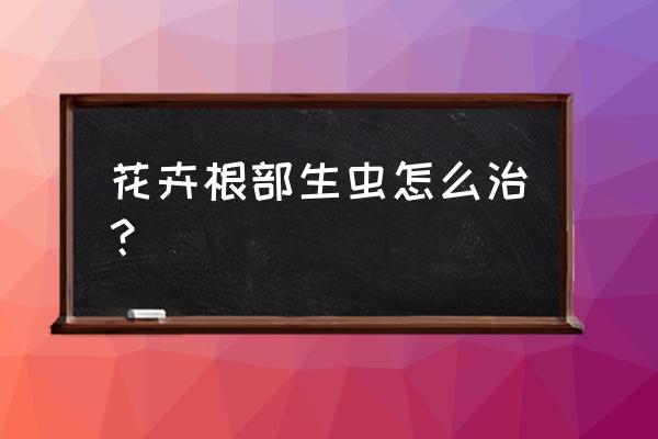 怎么快速去除花盆里的小虫 花卉根部生虫怎么治？