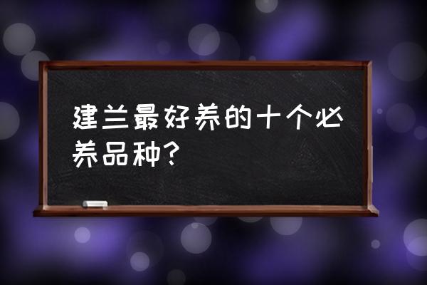 兰花银边大贡和青山玉泉哪个更香 建兰最好养的十个必养品种？