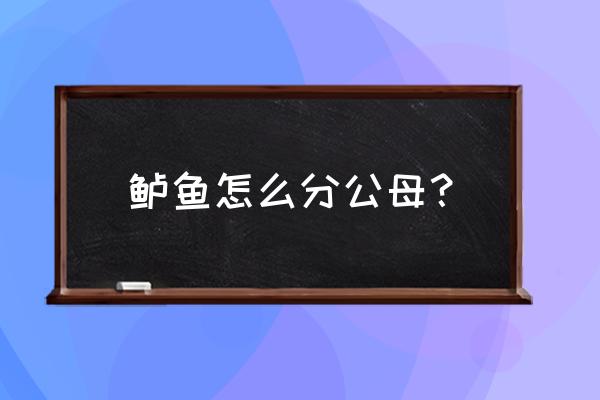 鲈鱼怎么分辨是不是淡水鲈鱼 鲈鱼怎么分公母？