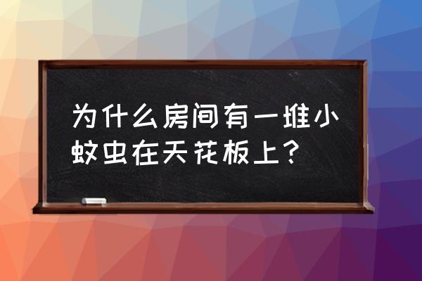 天花板的蜘蛛网怎么才能消除干净 为什么房间有一堆小蚊虫在天花板上？