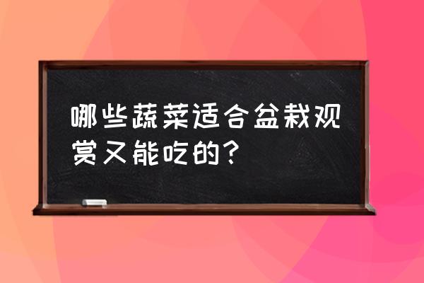 最好养活的盆栽蔬菜 哪些蔬菜适合盆栽观赏又能吃的？