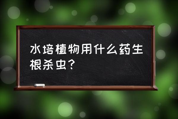 花店买的花怎么生根杀虫 水培植物用什么药生根杀虫？