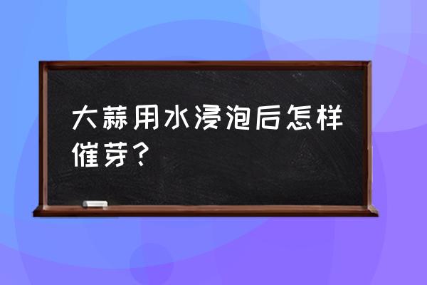 大蒜水培几天发芽 大蒜用水浸泡后怎样催芽？