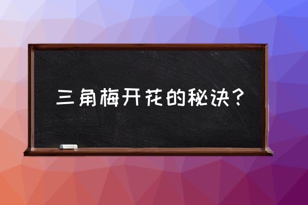 三角梅开花后怎么护理 三角梅开花的秘诀？