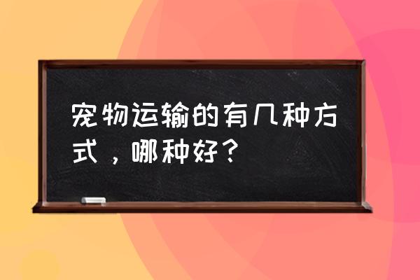 宠物托运信息怎么查询 宠物运输的有几种方式，哪种好？