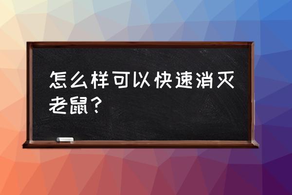 有效消灭老鼠方法 怎么样可以快速消灭老鼠？