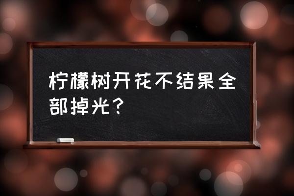 盆栽柠檬树常见问题总结附图 柠檬树开花不结果全部掉光？