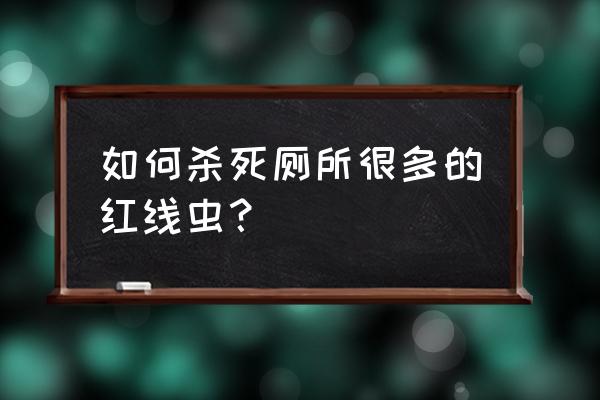 红线虫正确养护方法 如何杀死厕所很多的红线虫？