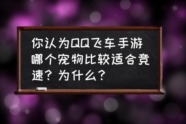 qq飞车手游宠物一技能有什么用 你认为QQ飞车手游哪个宠物比较适合竞速？为什么？