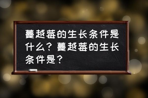 蔓越莓汁太酸怎么喝 蔓越莓的生长条件是什么？蔓越莓的生长条件是？