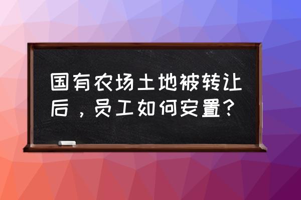 民营企业转让怎么安置员工 国有农场土地被转让后，员工如何安置？