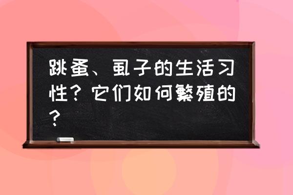 跳蚤什么时候繁殖最快 跳蚤、虱子的生活习性？它们如何繁殖的？