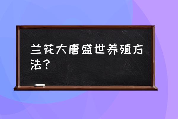 养兰花的技巧与方法 兰花大唐盛世养殖方法？