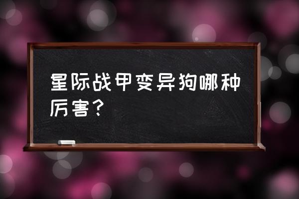 星际战甲宠物怎么跟随战斗 星际战甲变异狗哪种厉害？