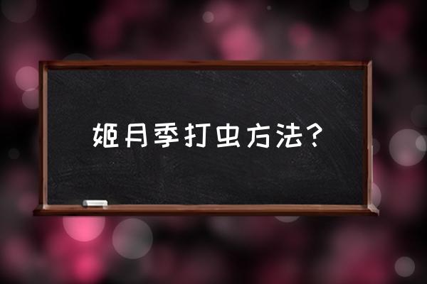 月季叶子被吃了找不到虫子 姬月季打虫方法？