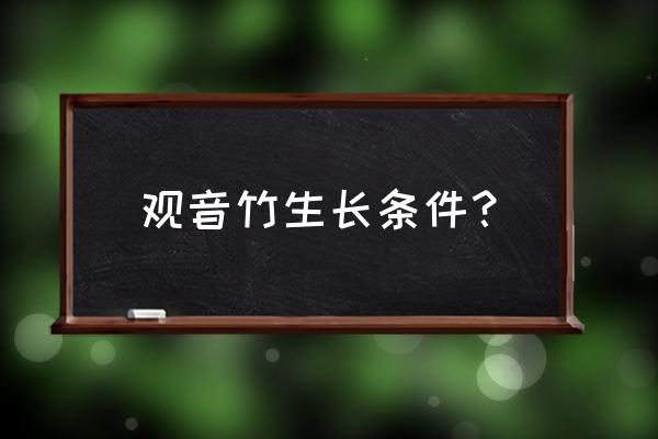 观音竹的养殖方法和浇水方法 观音竹生长条件？