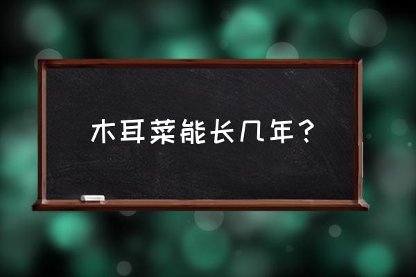 怎么做木耳菜一年四季都可以吃 木耳菜能长几年？