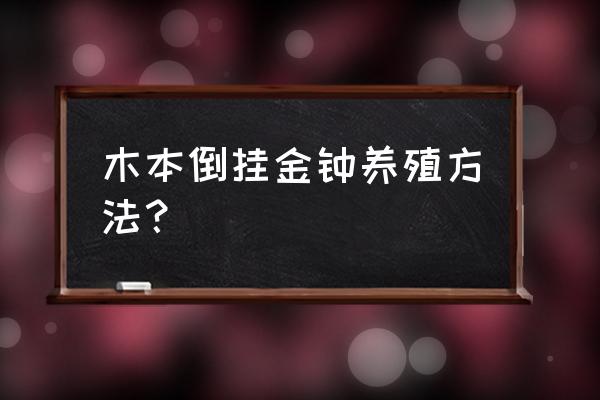 倒挂金钟这种花怎么养 木本倒挂金钟养殖方法？