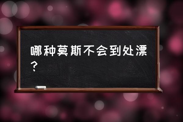 什么苔藓适合木头生长 哪种莫斯不会到处漂？