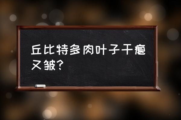 多肉杆子干瘪了怎么处理 丘比特多肉叶子干瘪又皱？