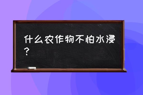 耐水植物有哪些 什么农作物不怕水浸？