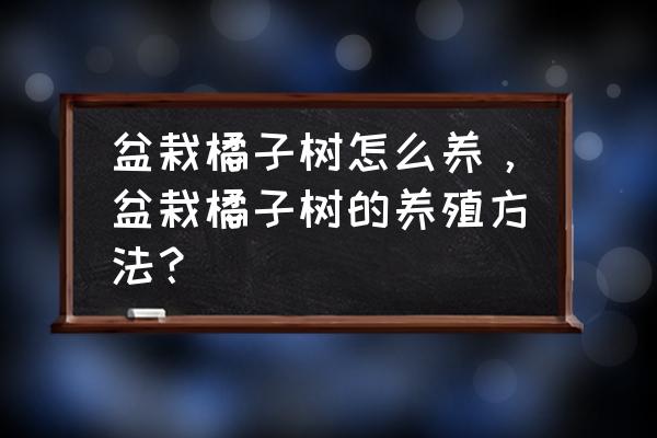 新手养盆栽需要准备哪些东西 盆栽橘子树怎么养，盆栽橘子树的养殖方法？