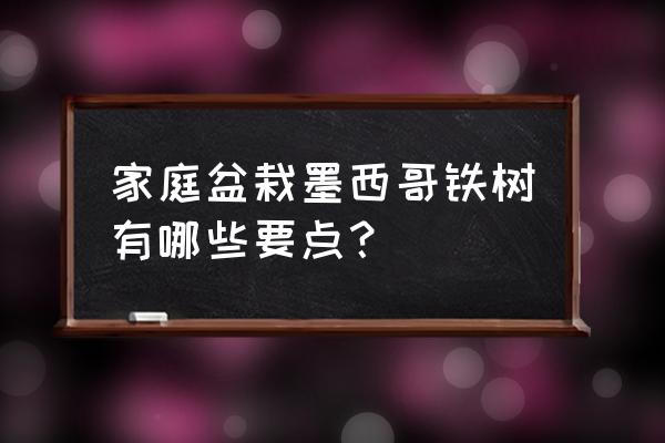 墨西哥铁树优缺点 家庭盆栽墨西哥铁树有哪些要点？