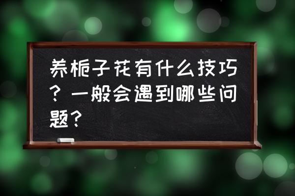 栀子花忌讳 养栀子花有什么技巧？一般会遇到哪些问题？